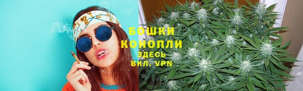 спайс Богданович