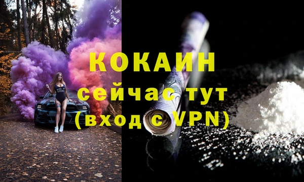 спиды Богородицк