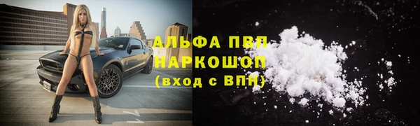 спайс Богданович