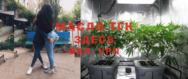 спиды Богородицк