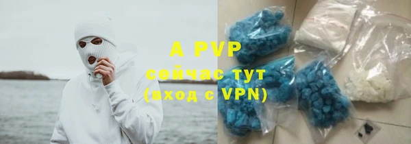 спиды Богородицк