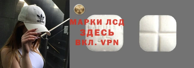 спиды Богородицк