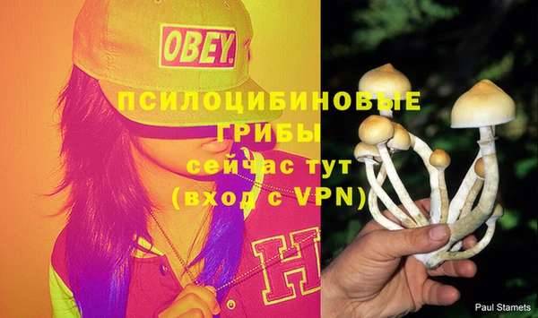 спиды Богородицк