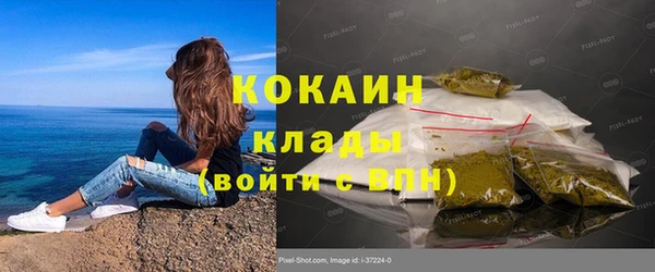 спиды Богородицк