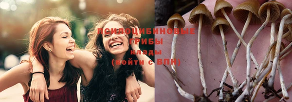 спайс Богданович